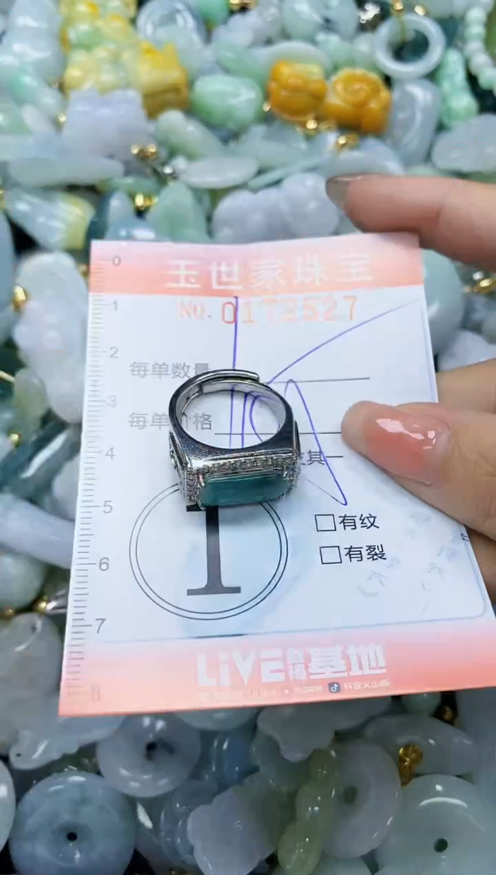 【闪购商品】翡翠颈饰未镶嵌闪购0172527