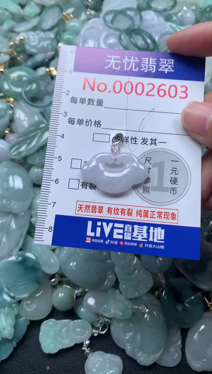 颈饰未镶嵌翡翠2603