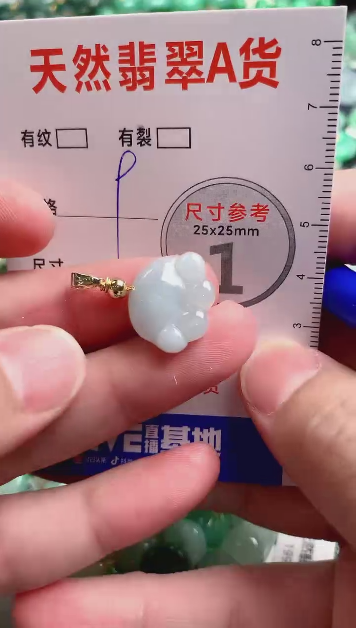 翡翠未镶嵌颈饰24001559