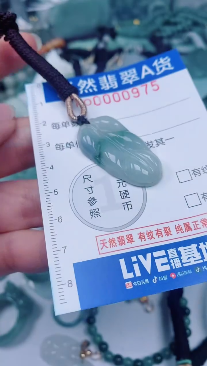 颈饰未镶嵌翡翠00000975