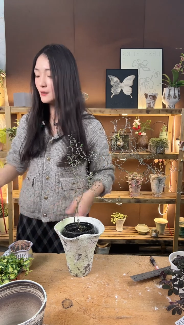 无花朵647铁丝网加盆一套