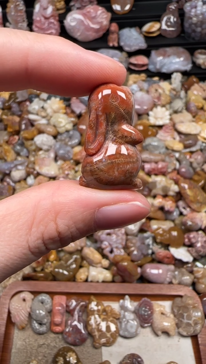 颈饰未镶嵌硅化珊瑚（珊瑚玉）624