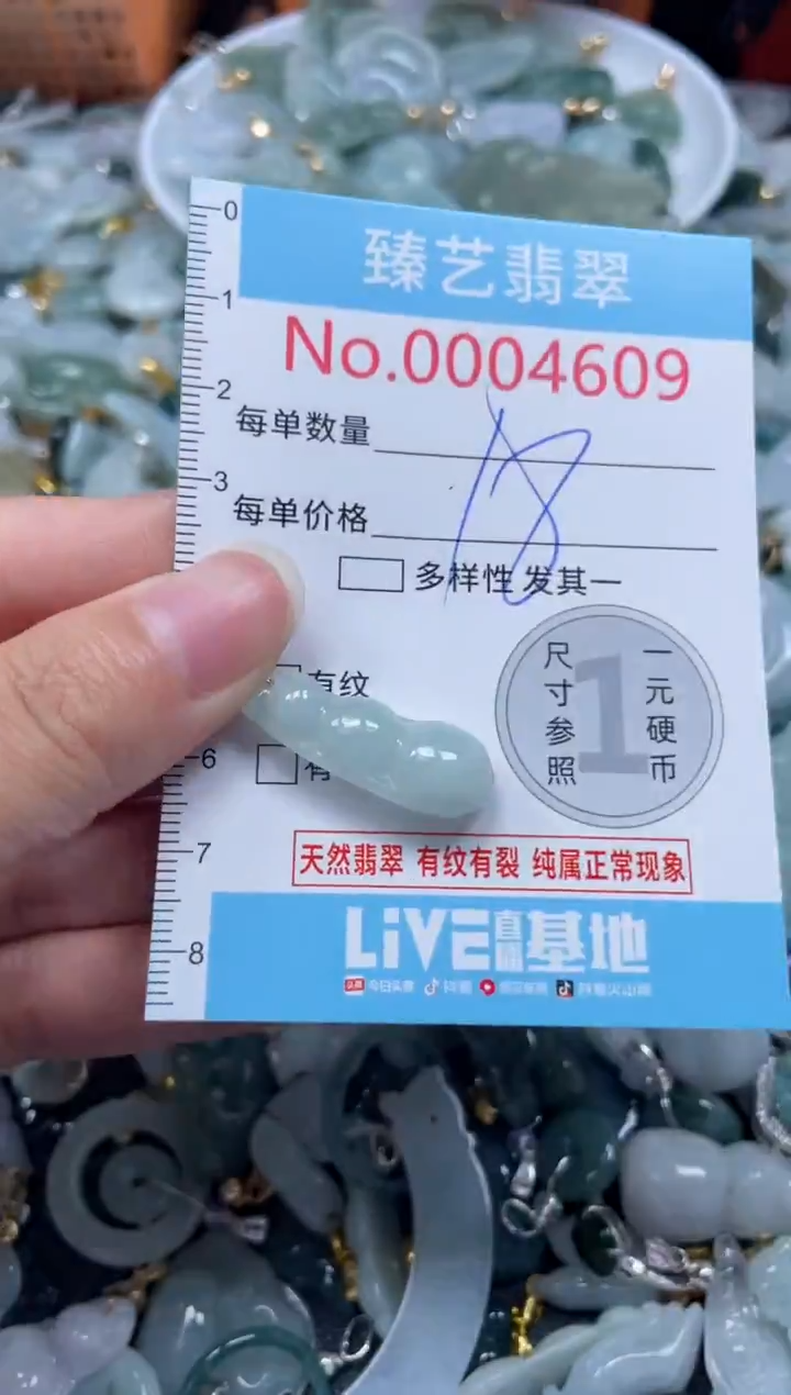 颈饰未镶嵌翡翠4609