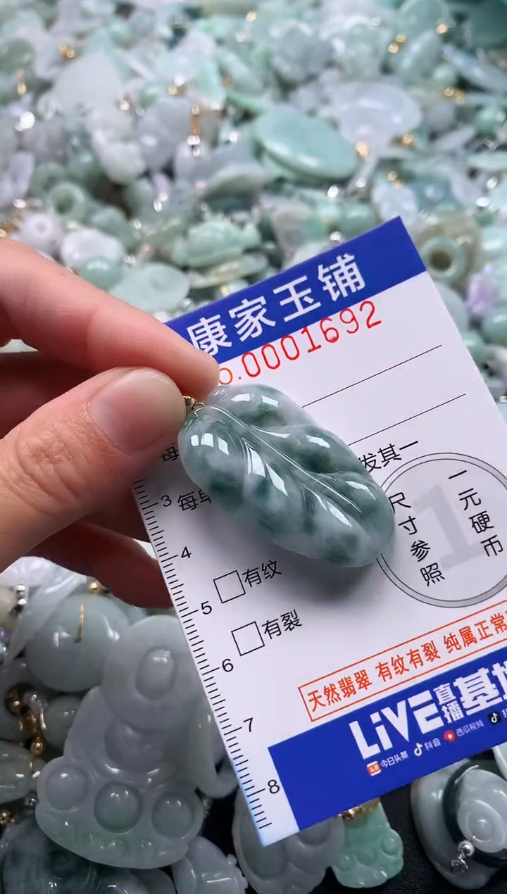 颈饰未镶嵌翡翠1692