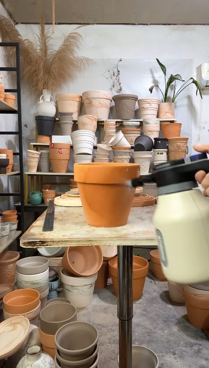 20*18红陶国际 1盆无托