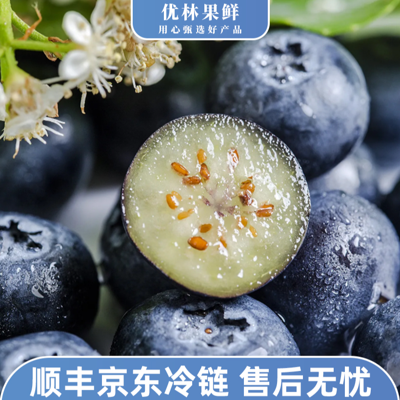 【卖完即下】A头茬脆甜爆浆新鲜蓝莓顺丰jing东孕妇新鲜蓝莓