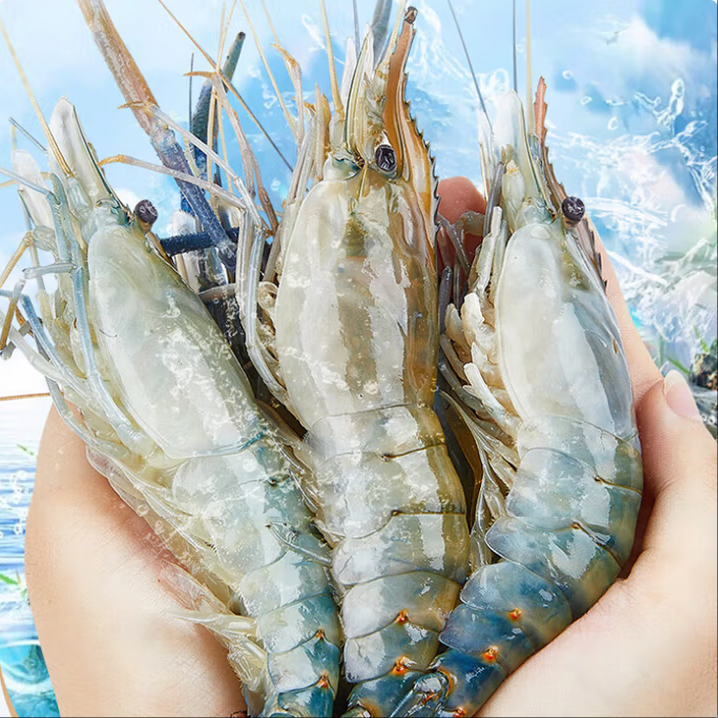 鲜活罗氏虾 约250g（到手包鲜不包活）
