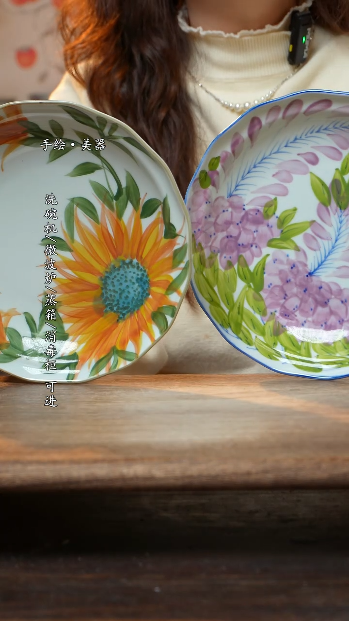 【闪购商品】陶瓷盘子