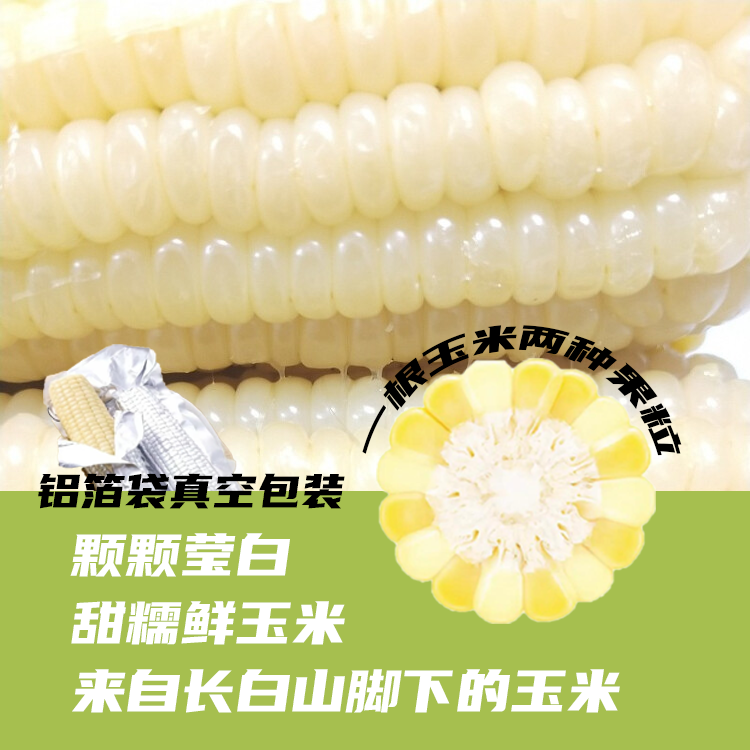 【白甜糯】试吃3根白糯鲜食甜糯香黏玉米棒10支真空铝箔包装7斤左右