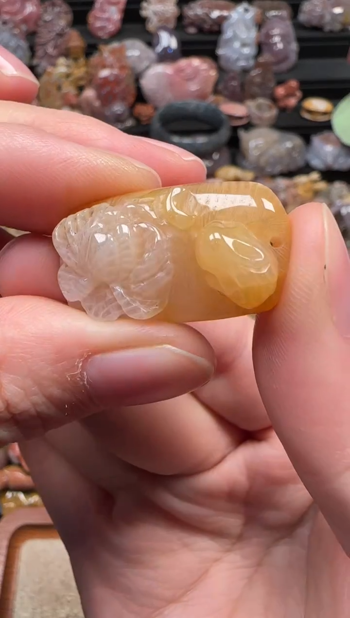 颈饰未镶嵌硅化珊瑚（珊瑚玉）641