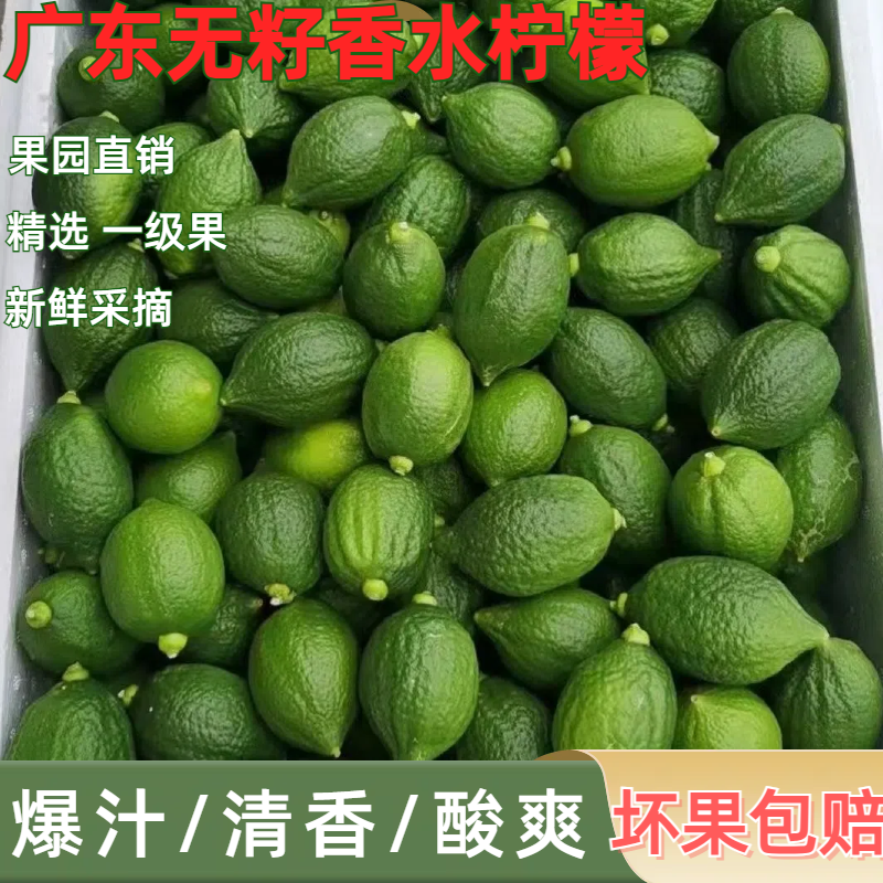 广东香水柠檬一级果3/5斤精选果香浓郁现摘现发批发零售价格优惠