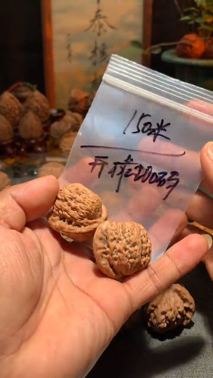 把件桃核开****码丰泰文玩  白狮子   39 尺寸左右