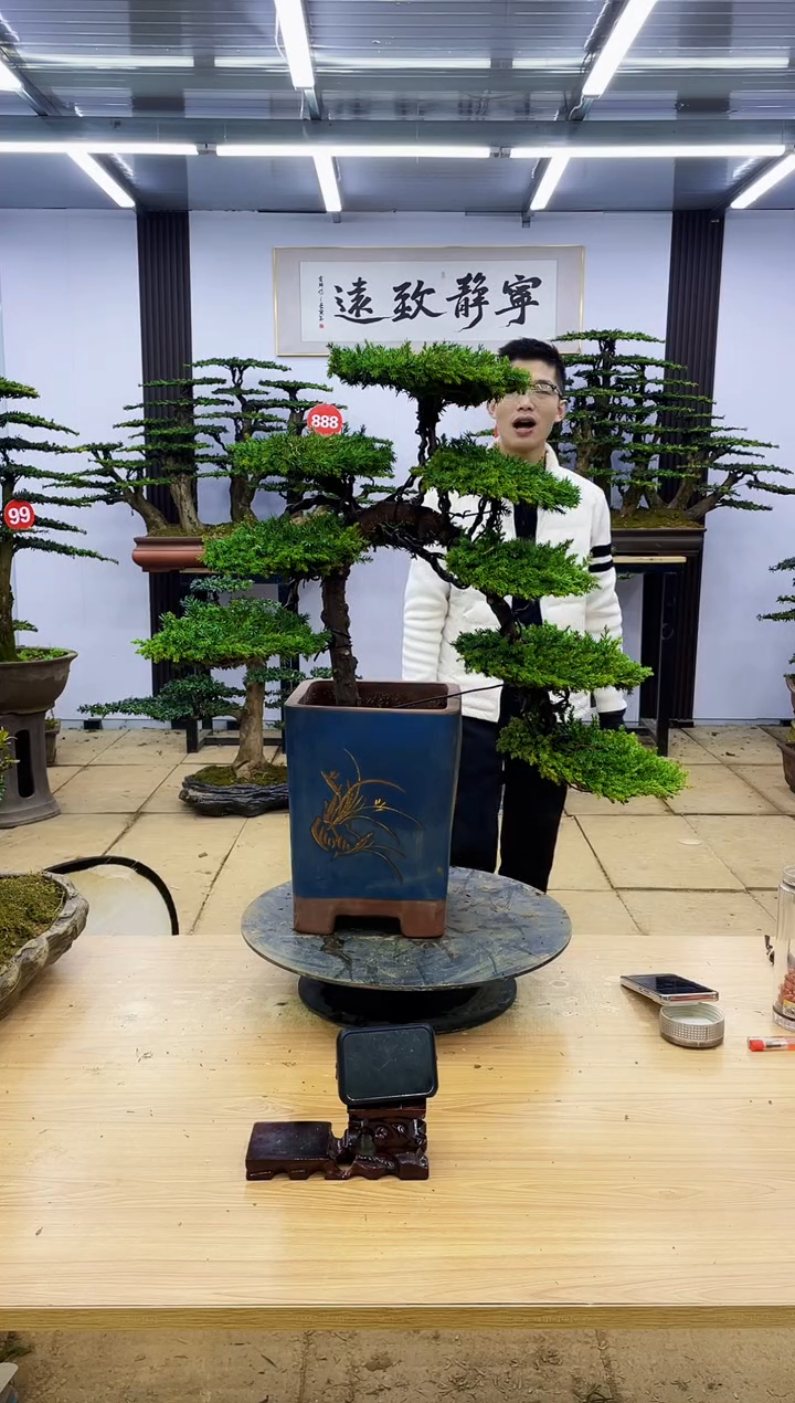 【闪购商品】00000000