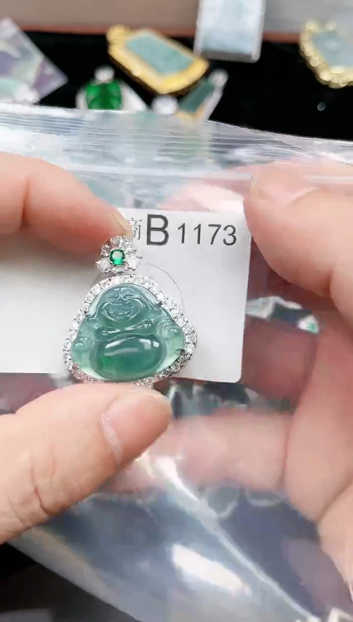 【闪购商品】翡翠颈饰未镶嵌赠皮绳1173