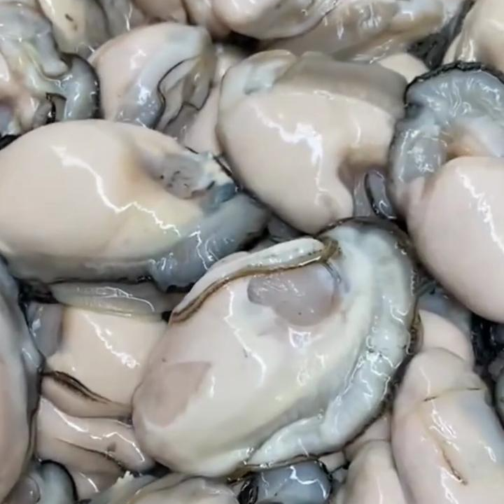 东港当地海蛎肉3斤装（大号）新鲜发货，顺丰包邮