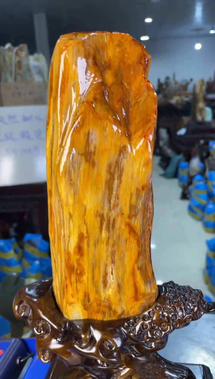 未镶嵌摆件硅化玉20