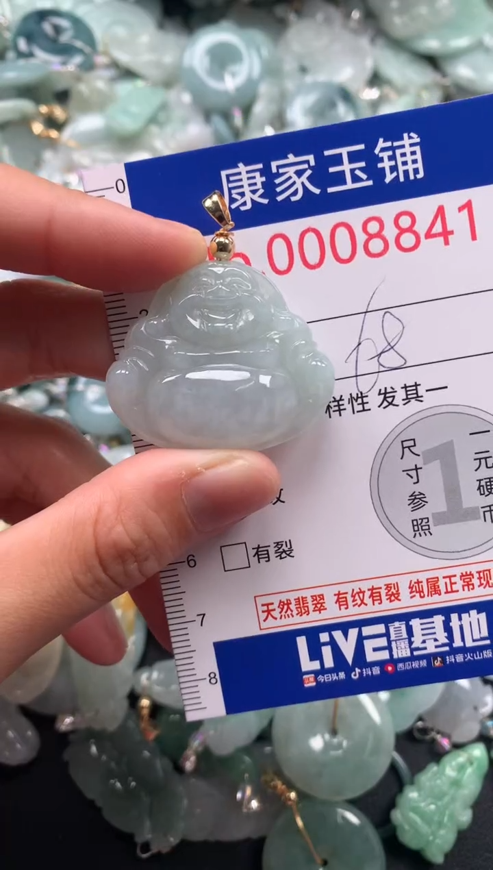 颈饰未镶嵌翡翠8841