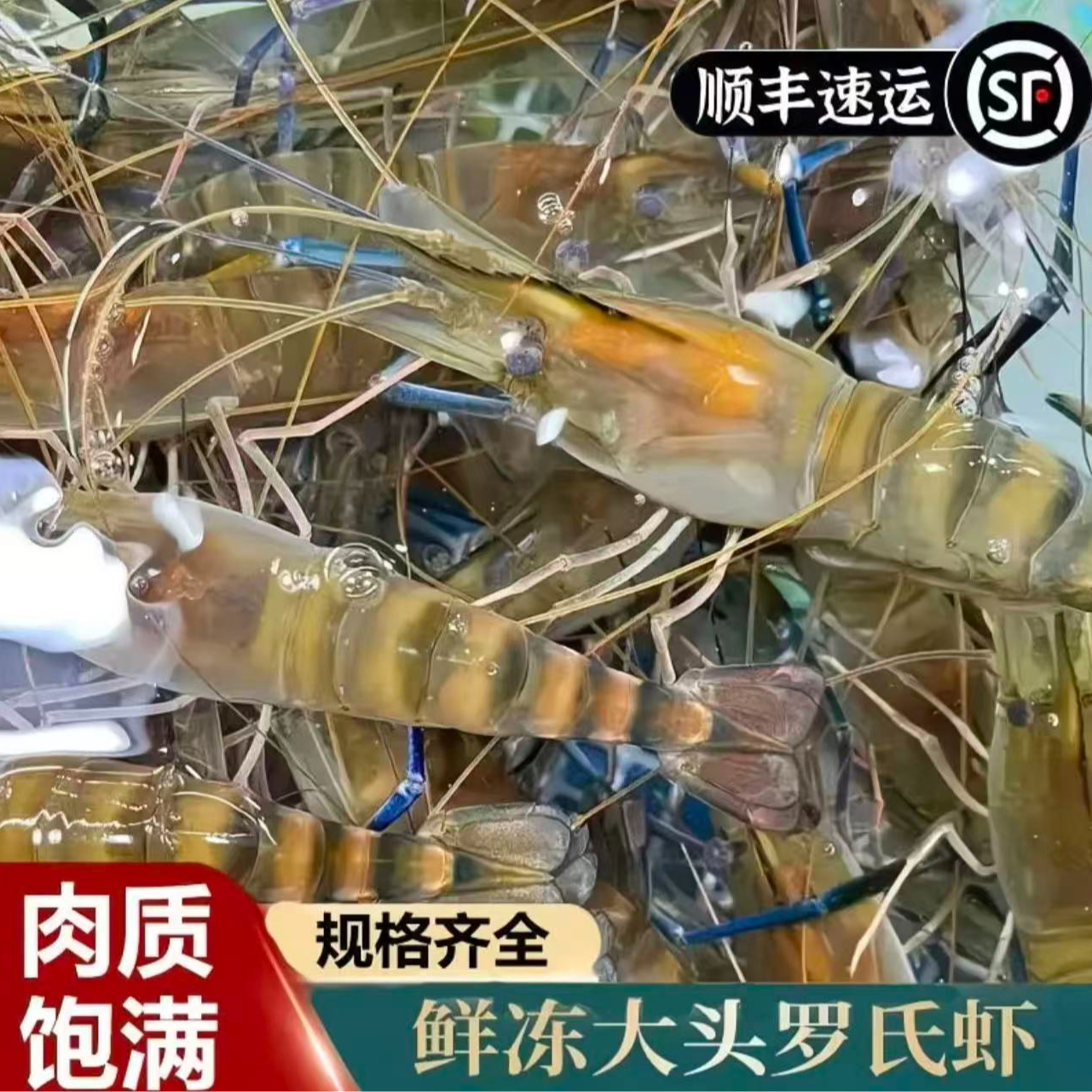 【净重3斤】罗氏虾16-20只左右/斤 鲜活速冻有软壳顺丰冷链包邮