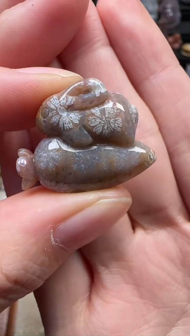 颈饰未镶嵌硅化珊瑚（珊瑚玉）655