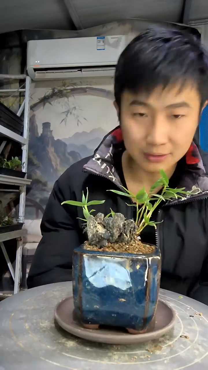 月****的中青园艺一物一拍花438