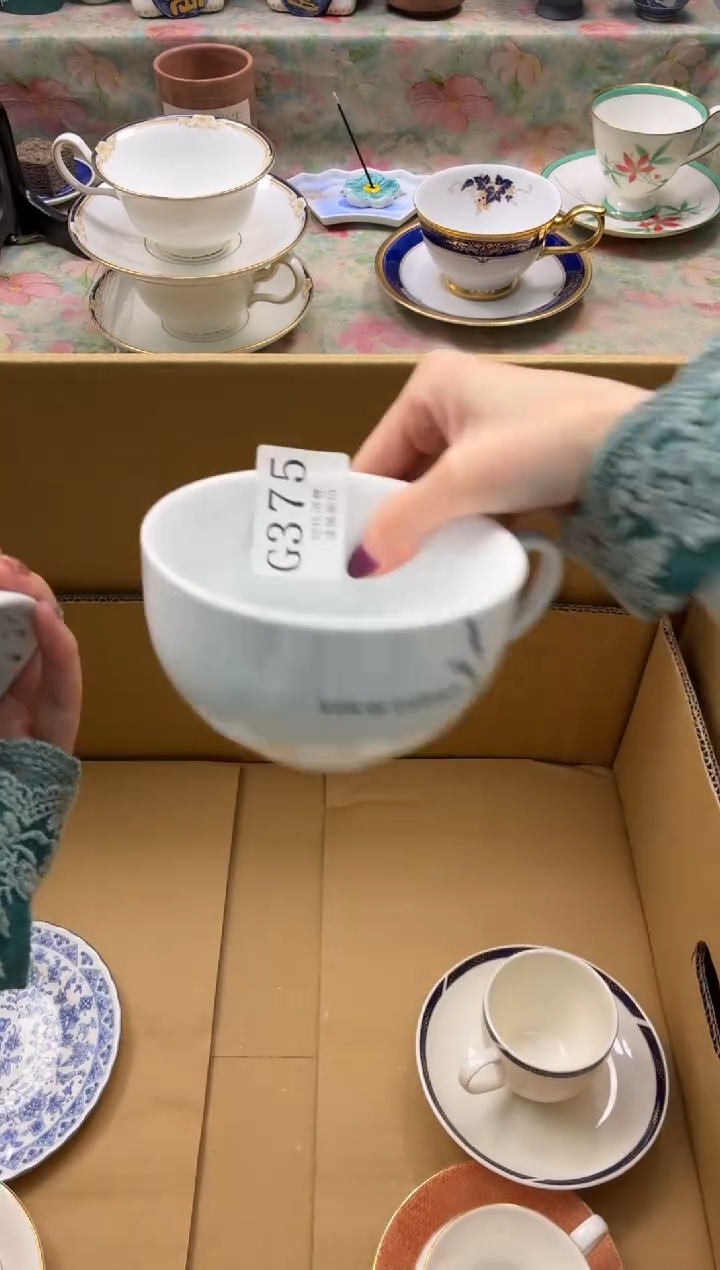 瓷片薇*       G375