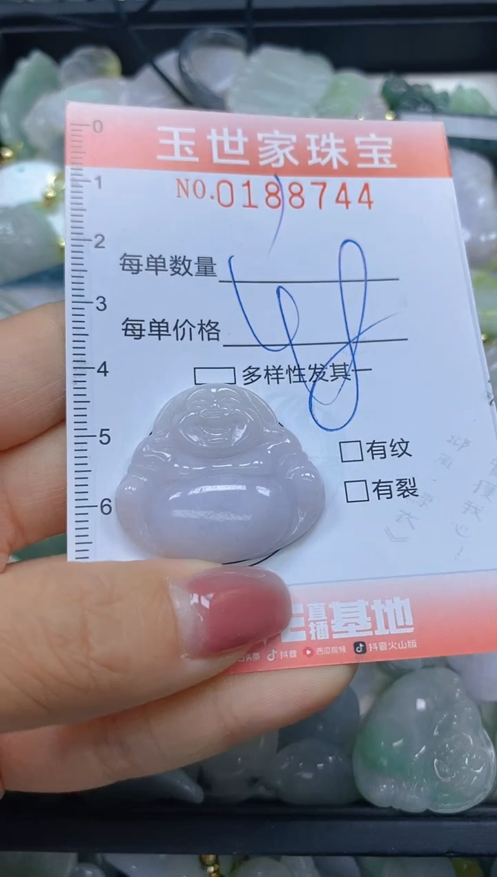 【闪购商品】翡翠颈饰未镶嵌闪购0188744