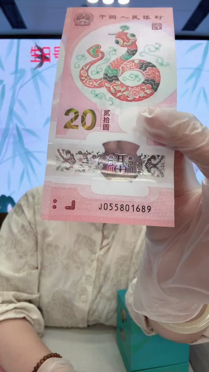 塑料蛇钞055801689