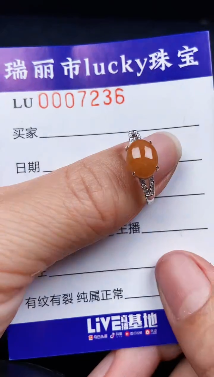 翡翠银S925镶嵌颈饰7236