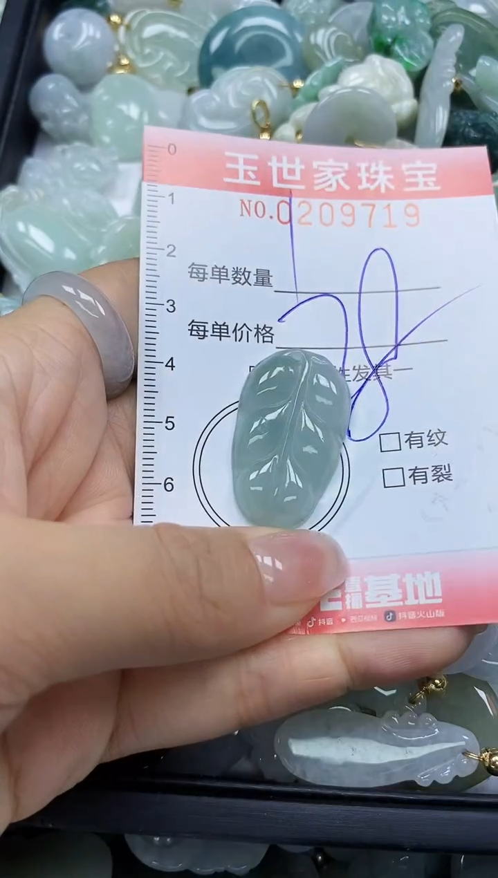 【闪购商品】翡翠颈饰未镶嵌闪购0209719