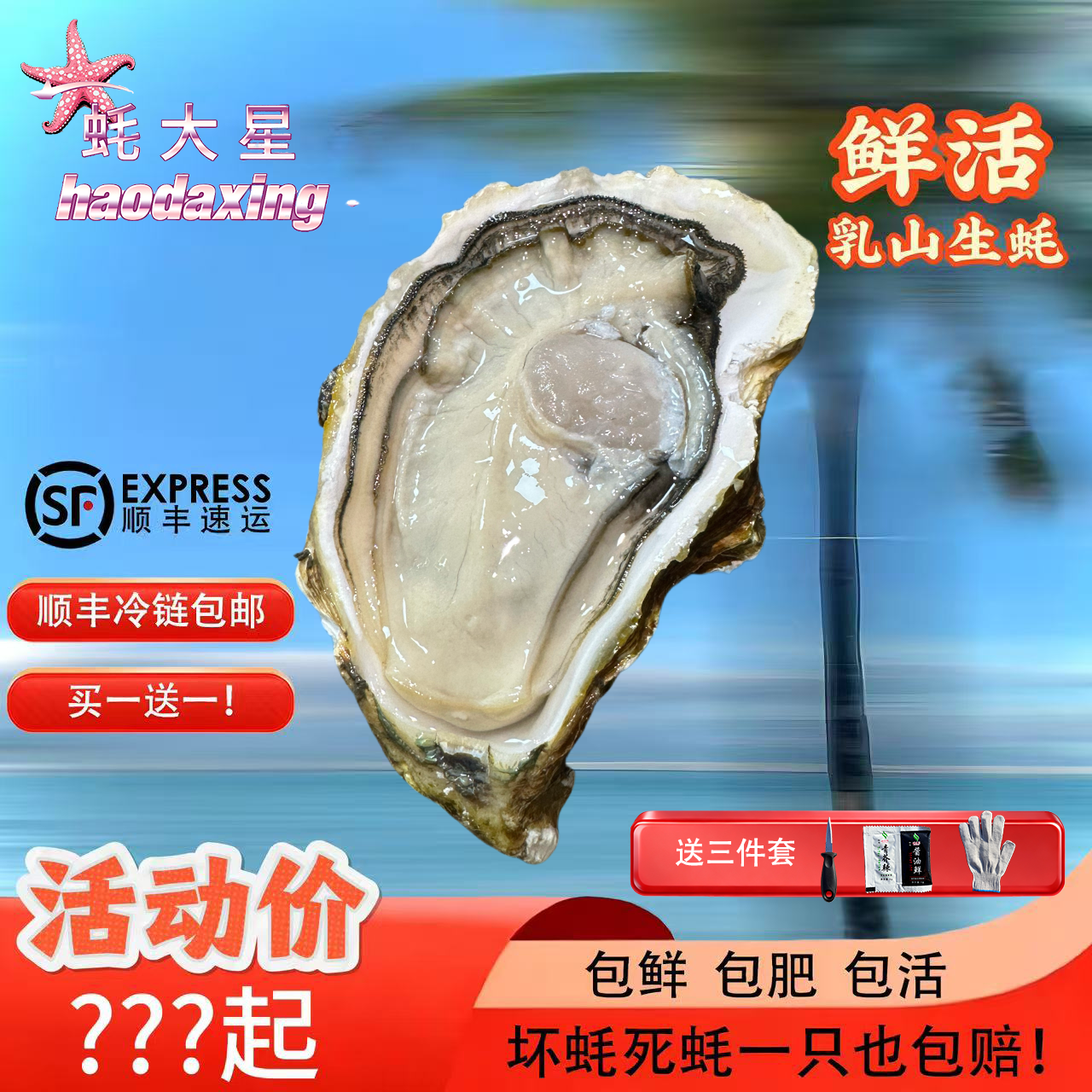 7X蚝王【买1斤送1斤】新鲜乳山生蚝牡蛎冷饱满水蚝个大肉肥鲜活包邮