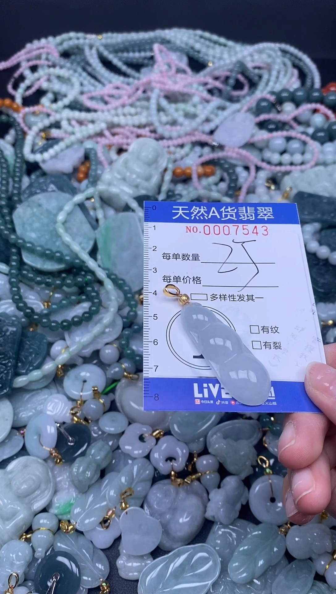 颈饰未镶嵌翡翠天然A货翡翠007543