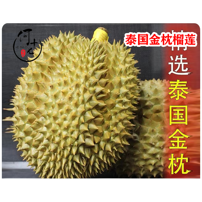 [整果]泰国空运树熟鲜金枕39.9元/斤，一果一价新鲜榴莲核小金枕泰国