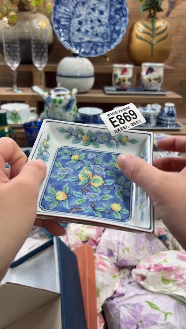 瓷片       E869
