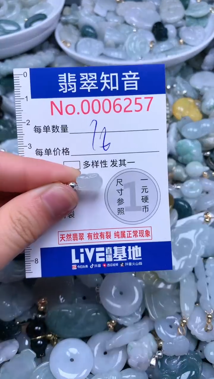 翡翠未镶嵌吊坠(不含链)6257