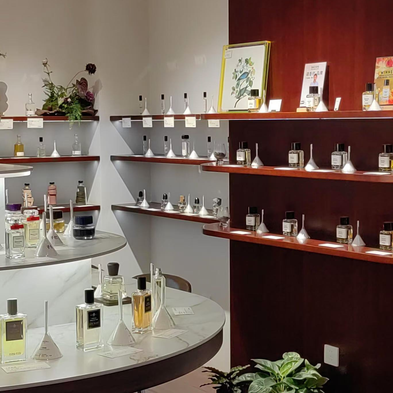 【主播专属】各类香经典香渣男香持久淡香