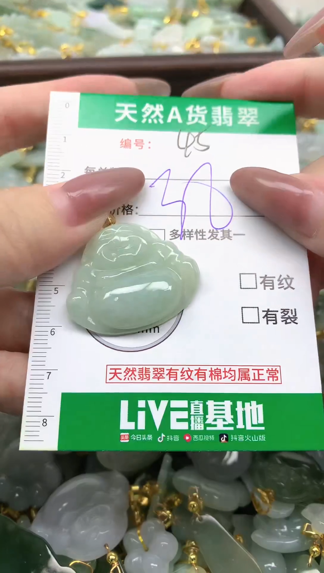 颈饰未镶嵌翡翠纯天然缅甸A货翡翠-45