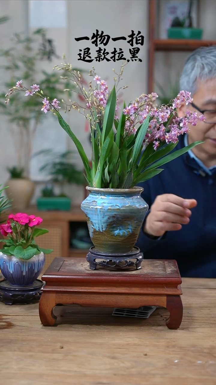 完全开放?***喜文心兰200