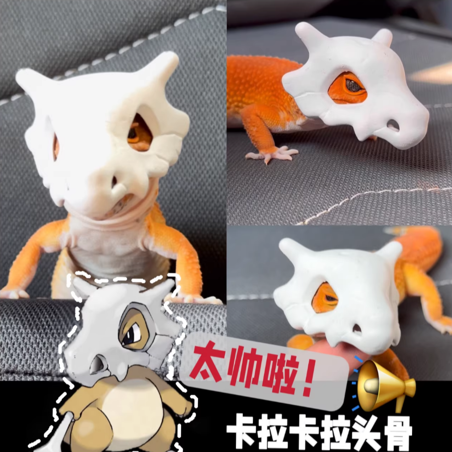 豹纹守宫卡拉卡拉头骨饰品 