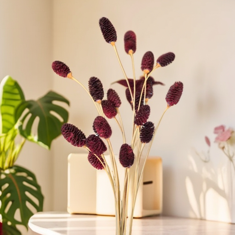 3把60支干花地榆花店小众搭配永生地榆