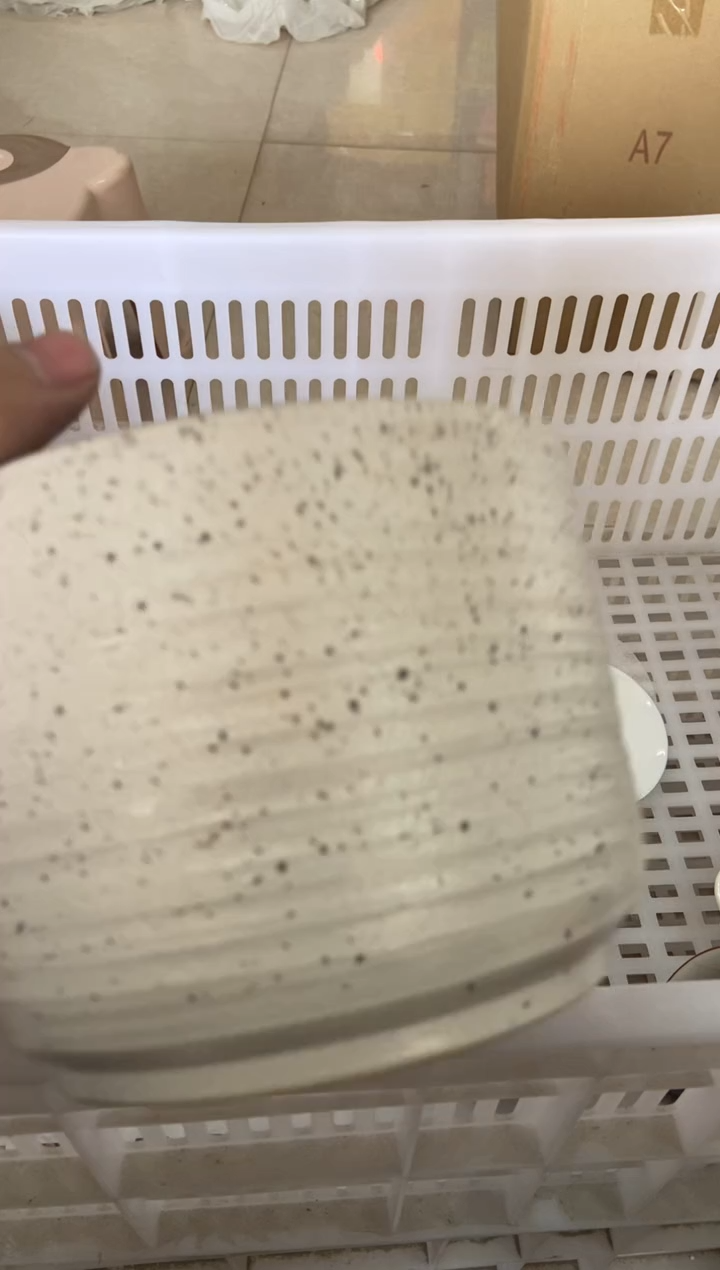 【闪购商品】无运费险略有微瑕介意勿拍