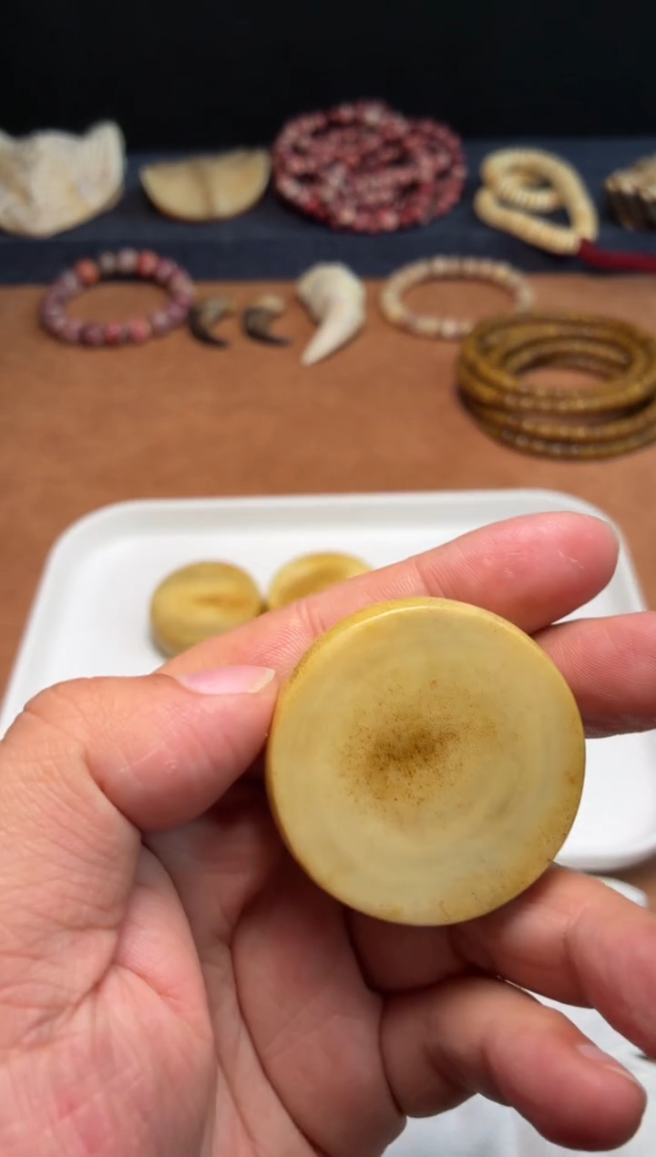 鹿骨其他冷*杂件424-鹿角饼子