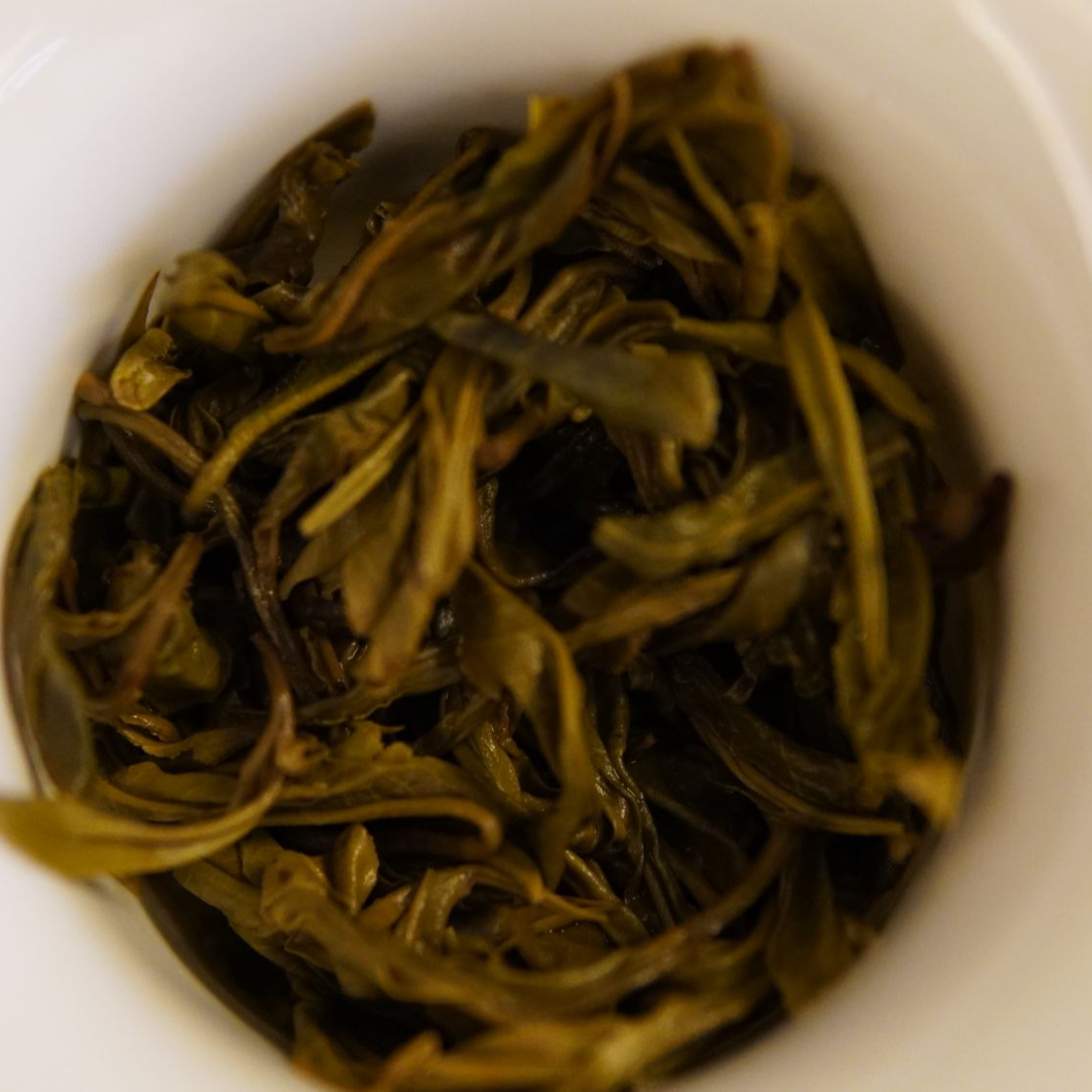 大忠山古树一类头春-正山正寨