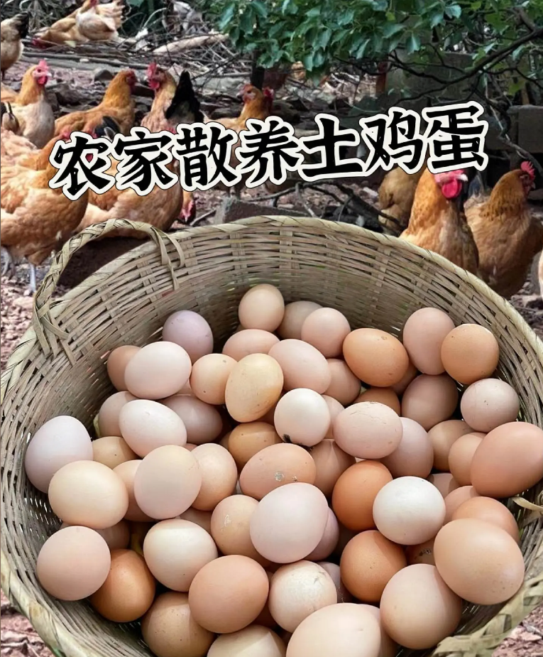 【土鸡蛋】农家散养正宗乌鸡蛋早餐营养鸡蛋