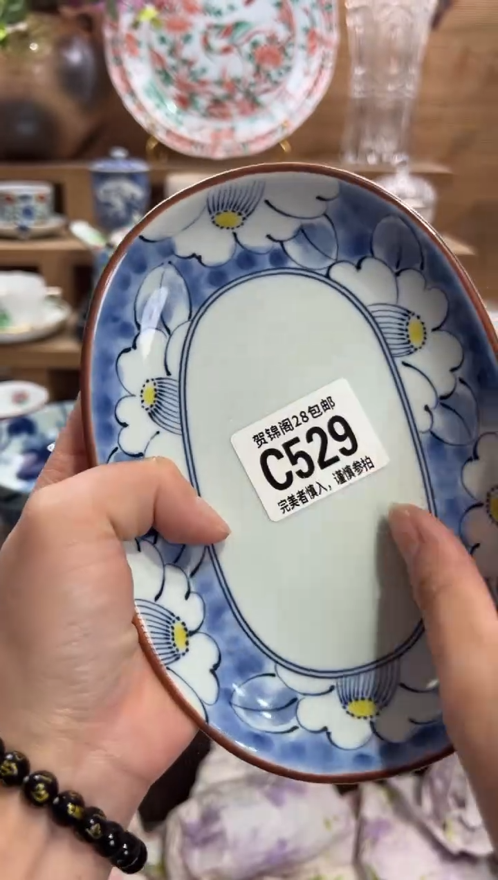 瓷片拾*      C529