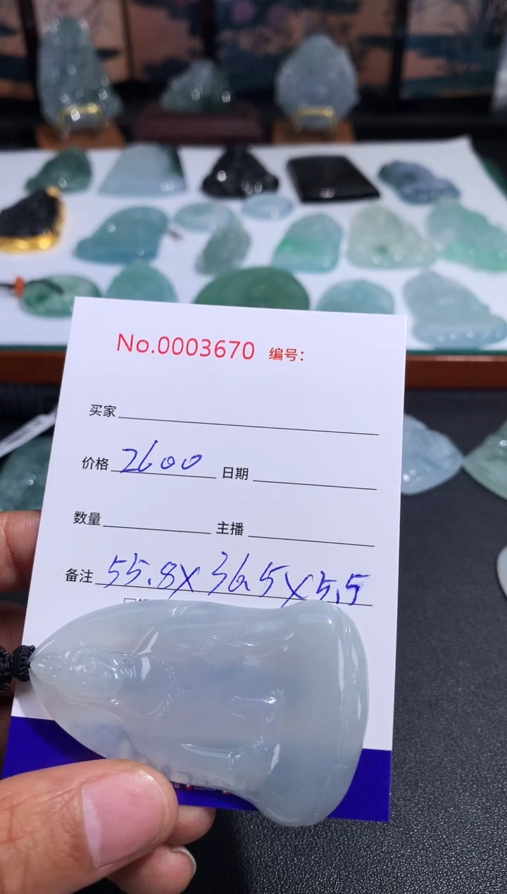 【闪购商品】翡翠颈饰未镶嵌天