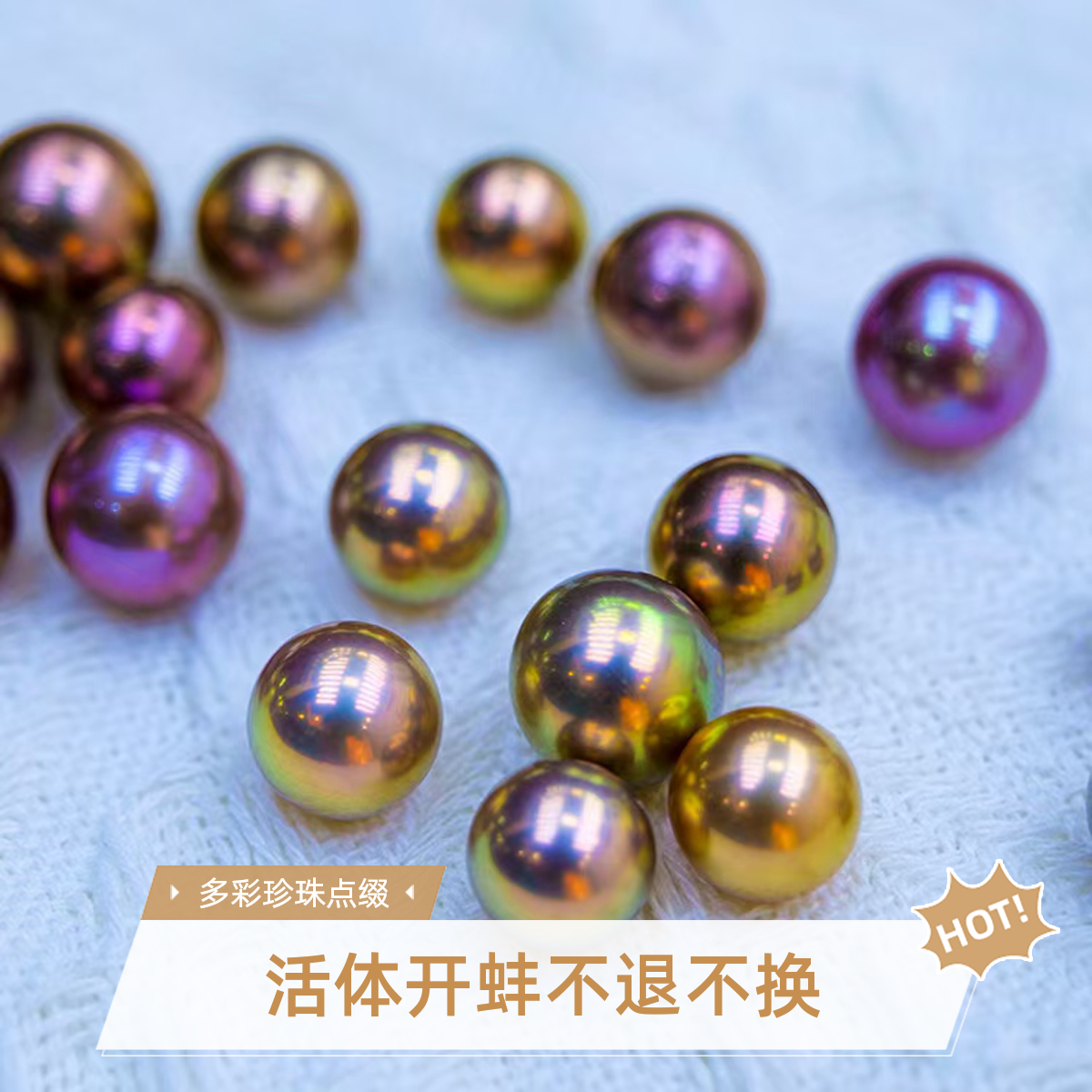 炫彩高品爱迪生单珠 活体开蚌 不退不换