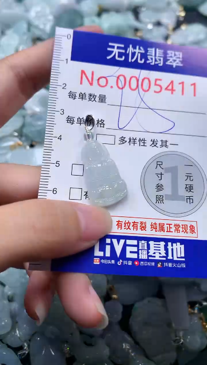 颈饰未镶嵌翡翠5411