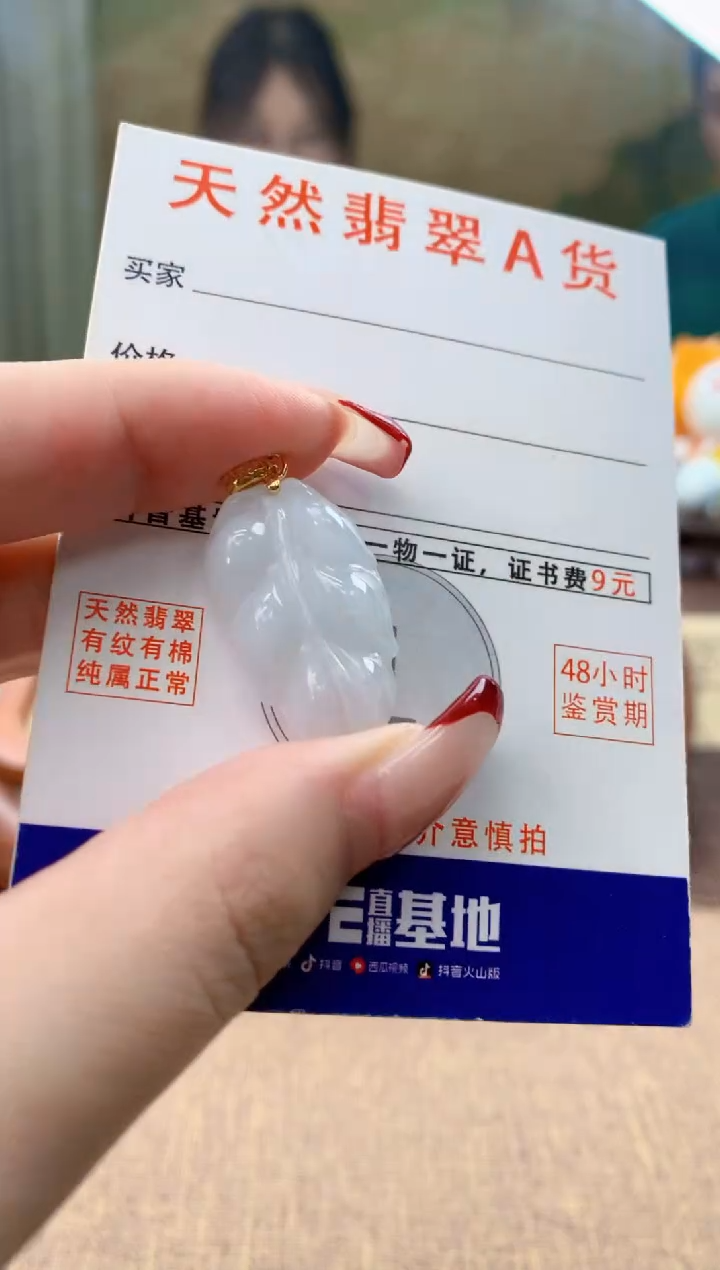 颈饰未镶嵌翡翠 天然A货翡翠挂件