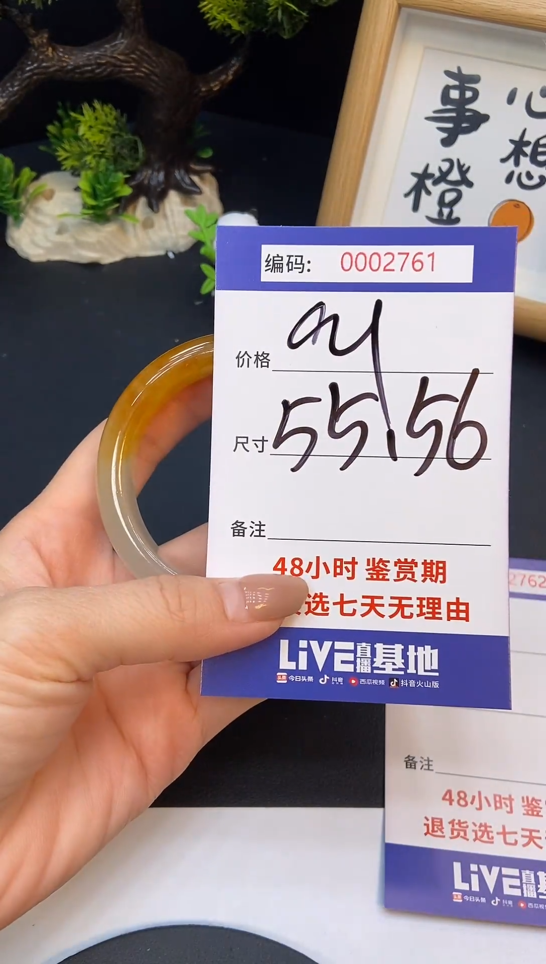 未镶嵌手镯翡翠0002761