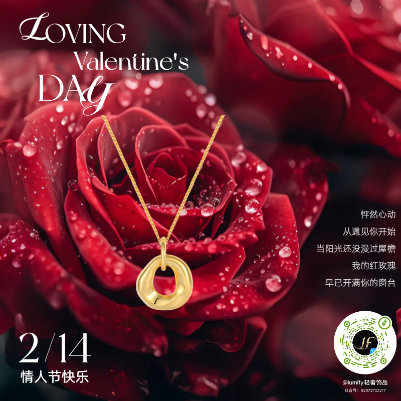 坠链均925银 和合项链女S925银镀18K金不规则圆圈吊坠轻奢气质